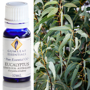 Gumleaf Pure Essential Oil - Lemon Gum Eucalyptus