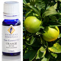 Gumleaf Pure Essential Oil - Bitter Orange