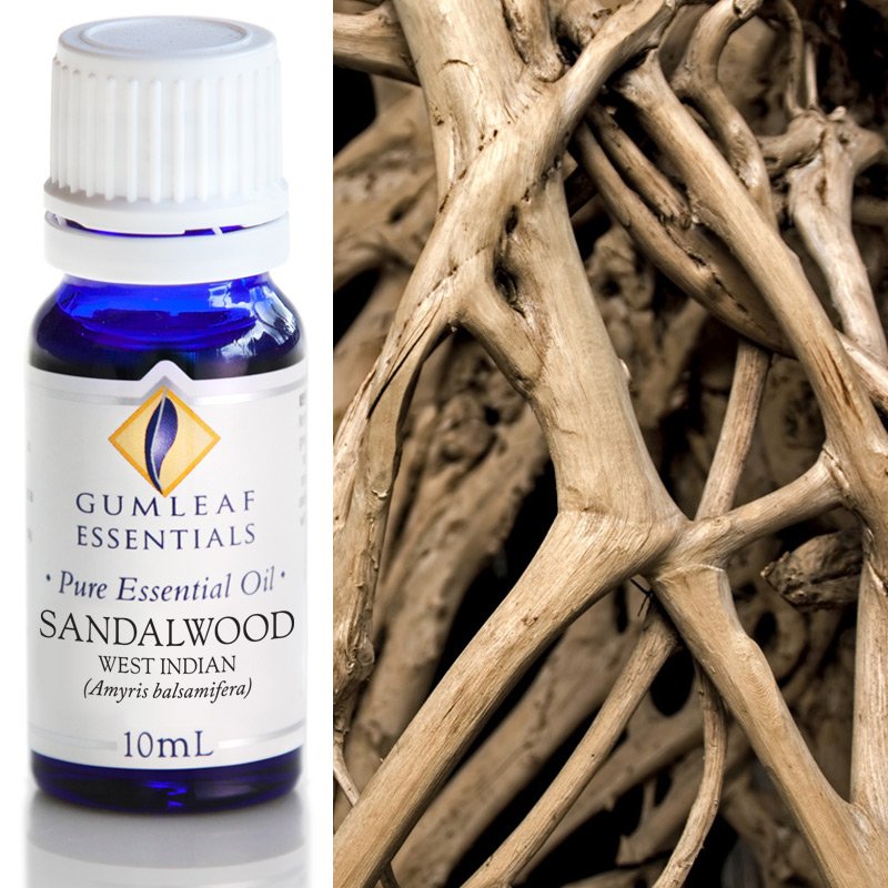 Gumleaf Pure Essential Oil - West Indian Sandalwood