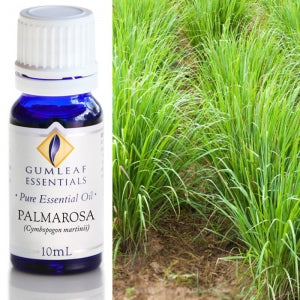 Gumleaf Pure Essential Oil - Palmarosa
