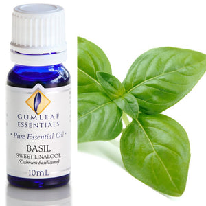 Gumleaf Pure Essential Oil - Basil