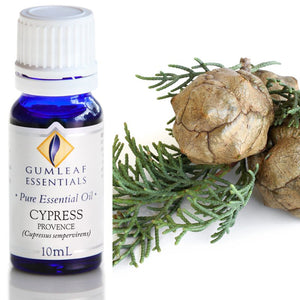 Gumleaf Pure Essential Oil - Cypress