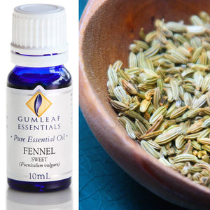 Gumleaf Pure Essential Oil - Fennel