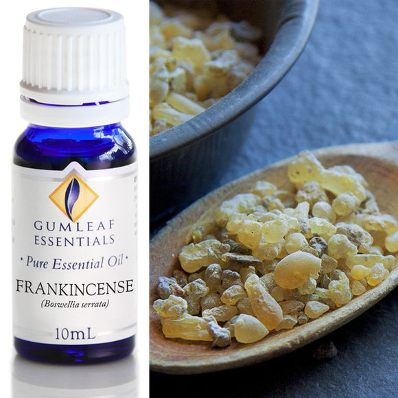 Gumleaf Pure Essential Oil - Frankincense