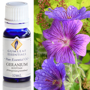 Gumleaf Pure Essential Oil - Geranium