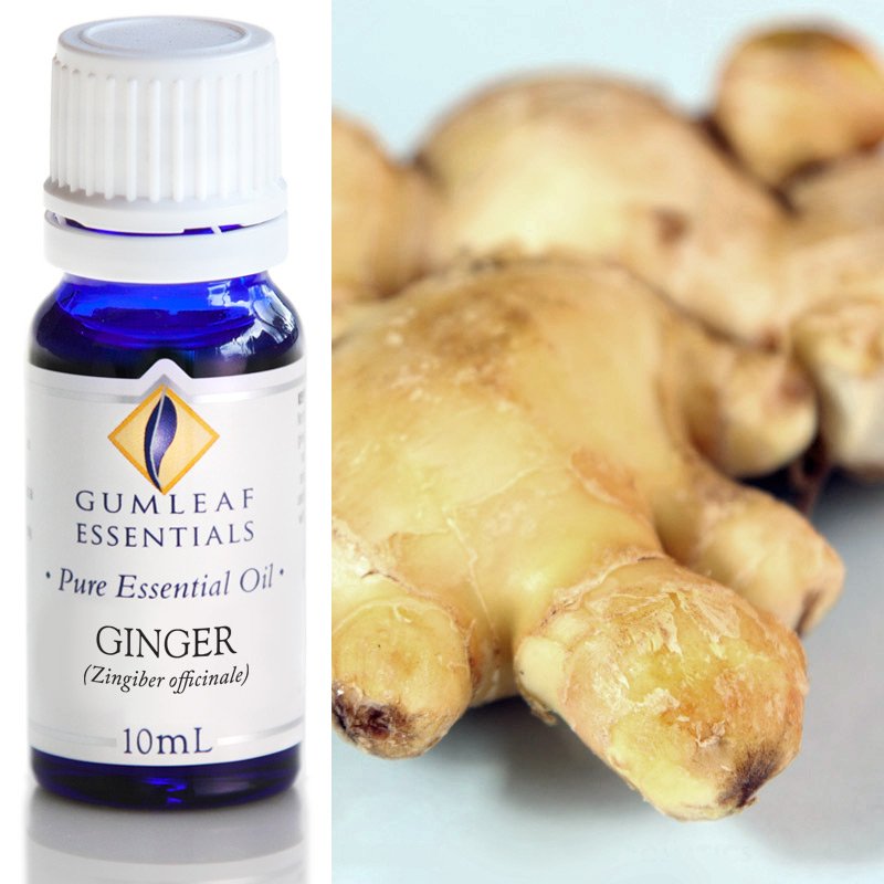 Gumleaf Pure Essential Oil - Ginger