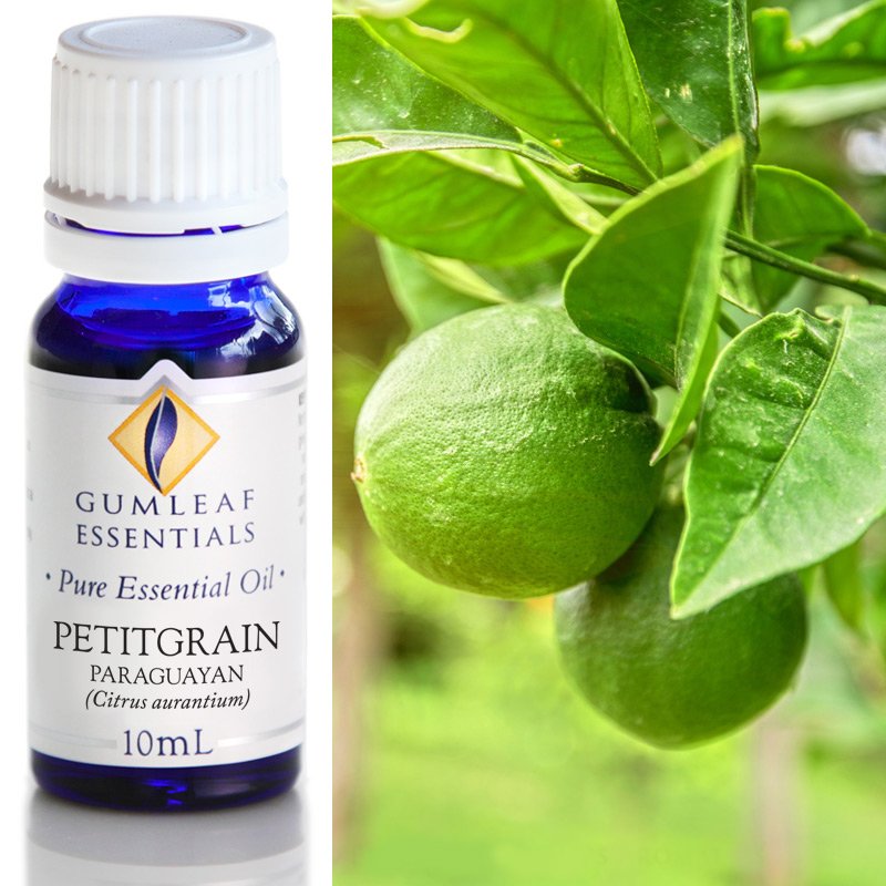 Gumleaf Pure Essential Oil - Petitgrain