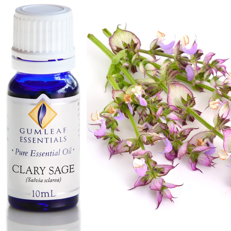 Gumleaf Pure Essential Oil - Clary Sage