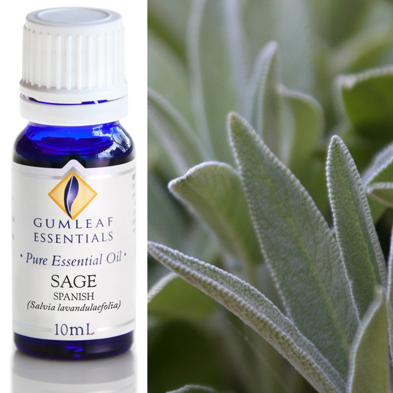 Gumleaf Pure Essential Oil - Sage