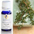 Gumleaf Pure Essential Oil - Thyme