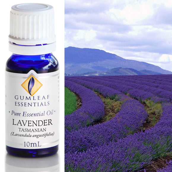 Gumleaf Pure Essential Oil - Tasmanian Lavender