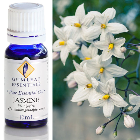 Gumleaf Pure Essential Oil - Jasmine