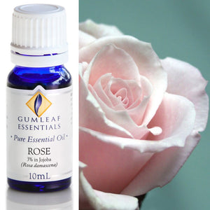 Gumleaf Pure Essential Oil - Rose