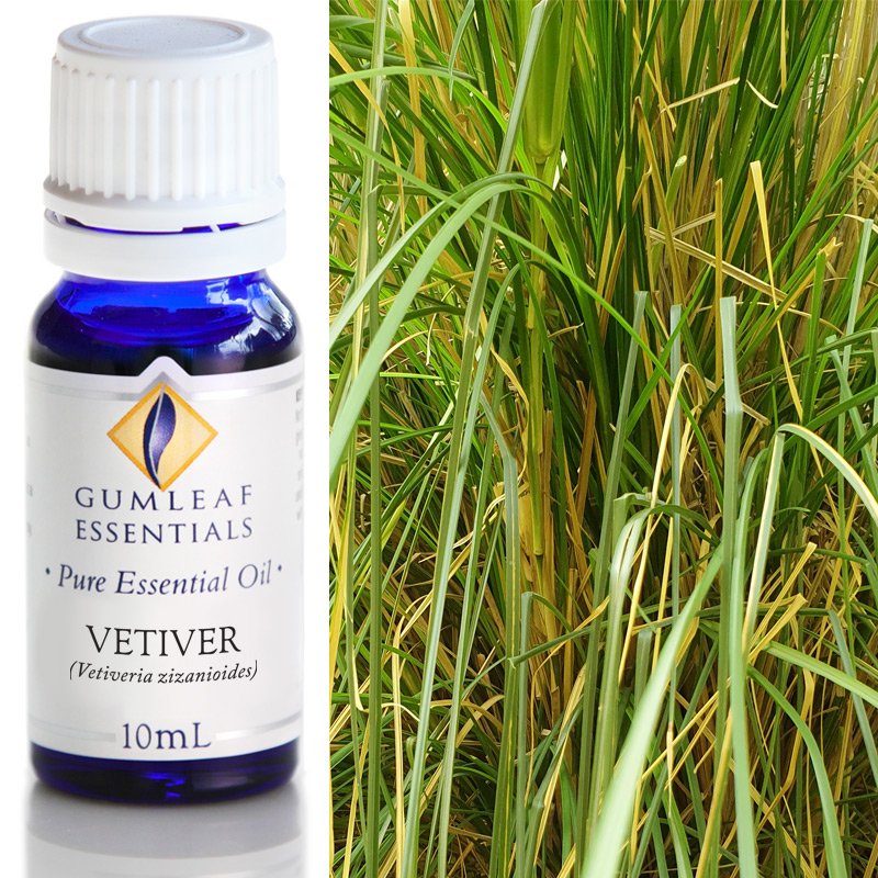 Gumleaf Pure Essential Oil - Vetiver