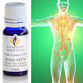 Gumleaf Essential Oil Blend - Immunity