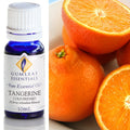 Gumleaf Pure Essential Oil - Tangerine