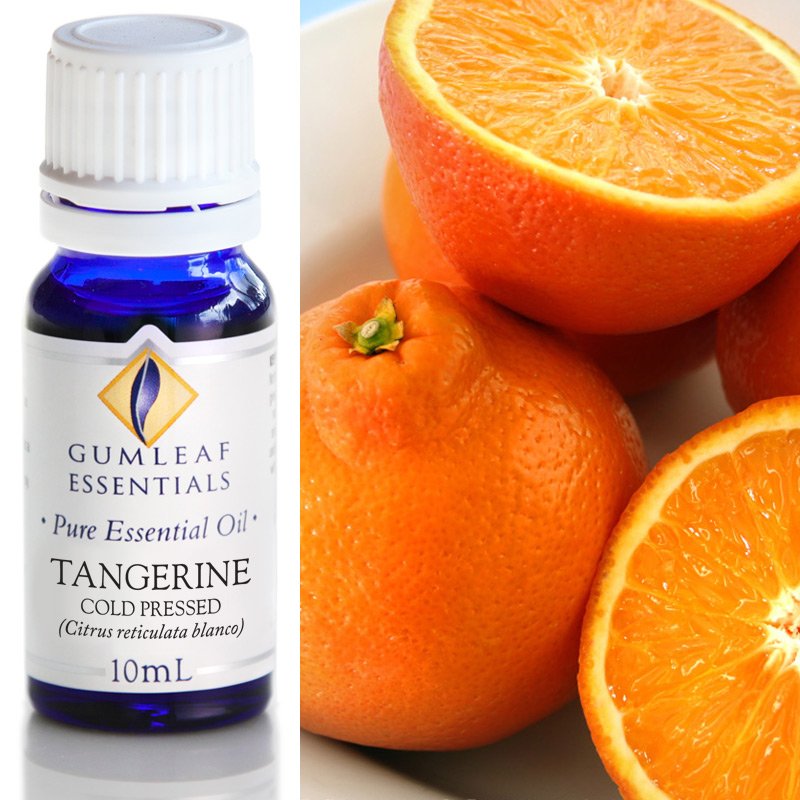 Gumleaf Pure Essential Oil - Tangerine