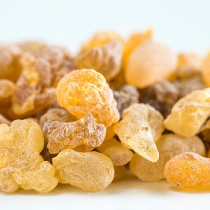 Gumleaf Pure Essential Oil - Olibanum Frankincense