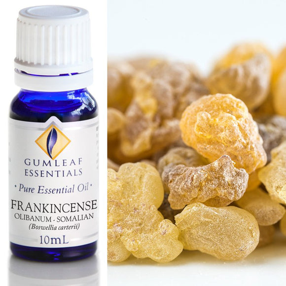 Gumleaf Pure Essential Oil - Olibanum Frankincense