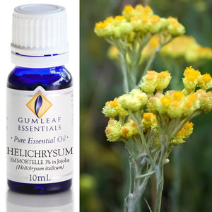 Gumleaf Pure Essential Oil - Helichrysum