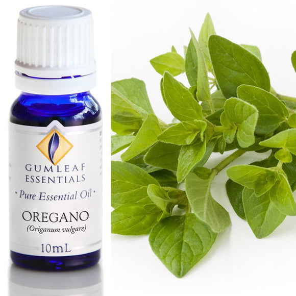 Gumleaf Pure Essential Oil - Oregano