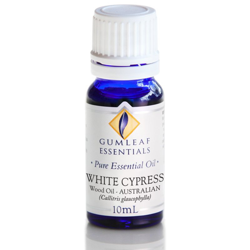 Gumleaf Pure Essential Oil - White Cypress