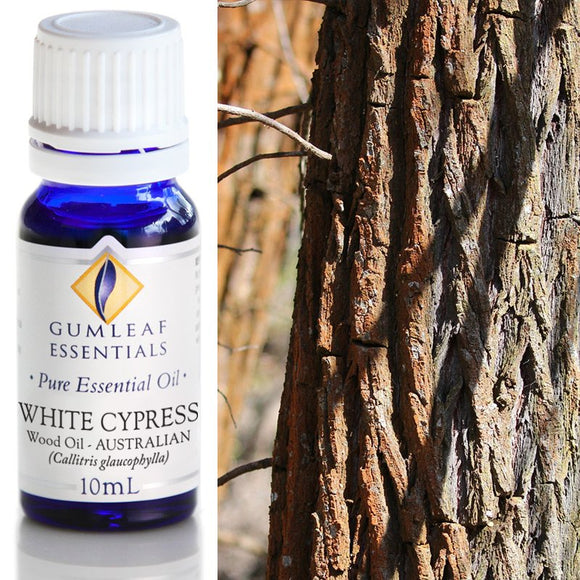 Gumleaf Pure Essential Oil - White Cypress