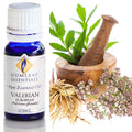 Gumleaf Pure Essential Oil - European Valerian