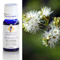 Gumleaf Pure Essential Oil - Kunzea