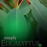 Simply Soy Scent Cake - Eucalyptus