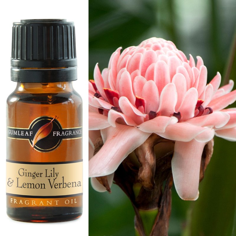 Ginger Lily & Lemon Verbena Fragrant Oil