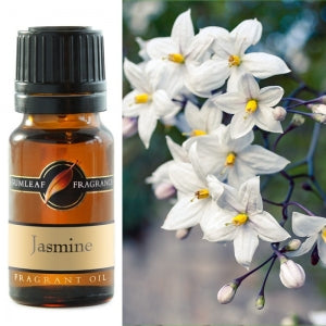 Jasmine Fragrant Oil