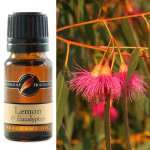 Lemon and Eucalyptus Fragrant Oil