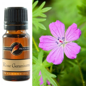 Rose Geranium Fragrant Oil