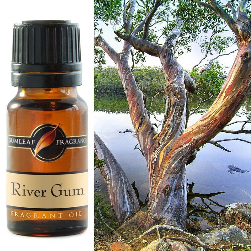 River Gum Fragrant Oil