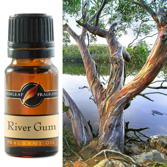 River Gum Fragrant Oil