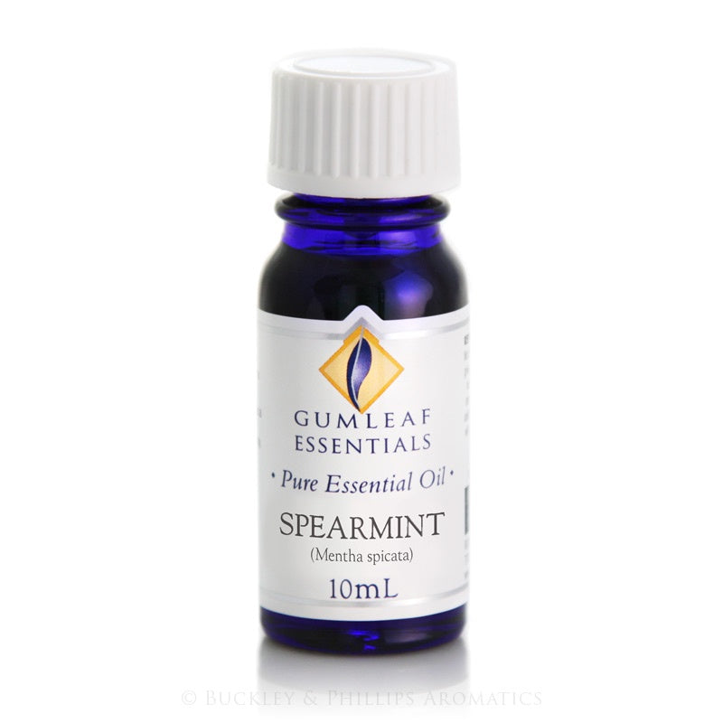 Gumleaf Pure Essential Oil - Spearmint