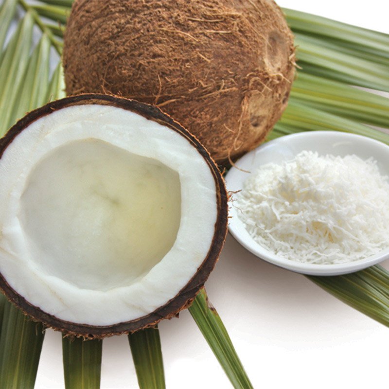 Gumleaf Fractionated Coconut - Vegetable Carrier Oil 125ml