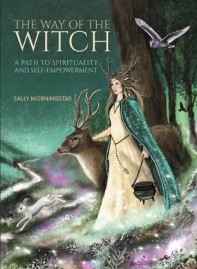 The Way Of The Witch - Sally Morningstar