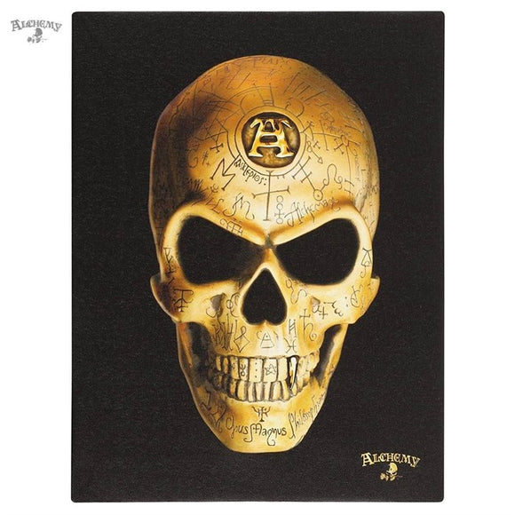 Omega Skull Canvas 19x25cm - Alchemy