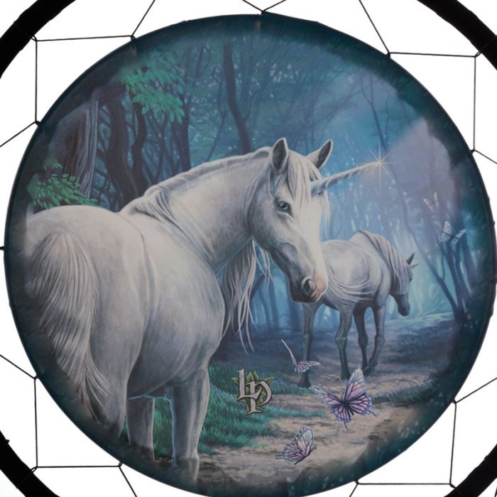 The Journey Home Dreamcatcher 60cm (Lisa Parker)
