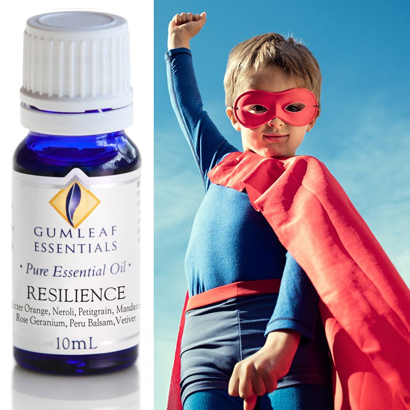 Gumleaf Essential Oil Blend - Resilience