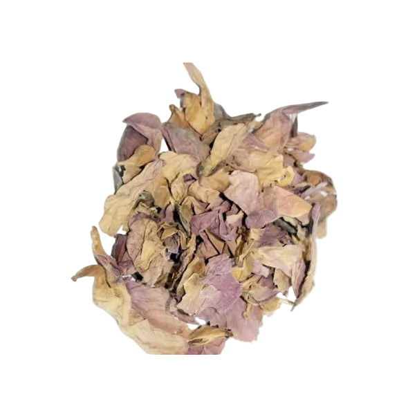 Sacred Lotus Dried Herb
