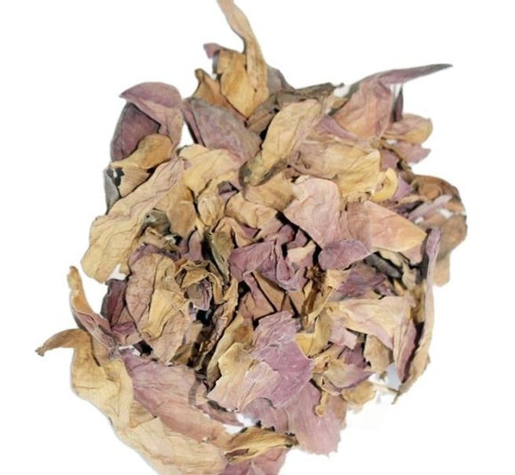 Sacred Lotus Dried Herb