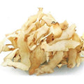 Solomon's Seal Dried Herb