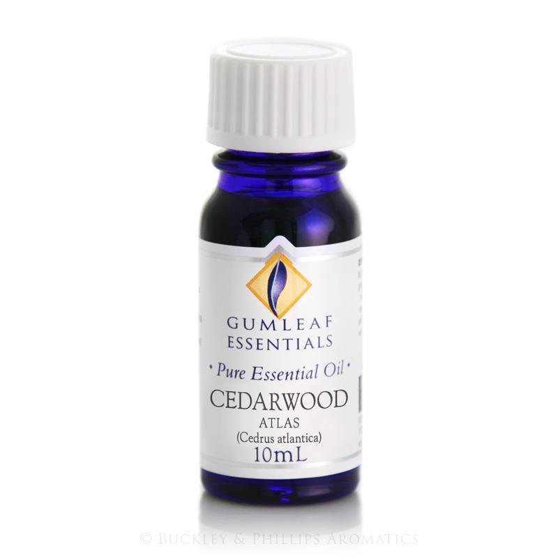 Gumleaf Pure Essential Oil - Atlas Cedarwood