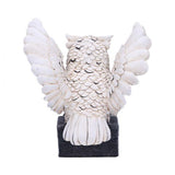 Archimedes 12.5cm Owl Figurine