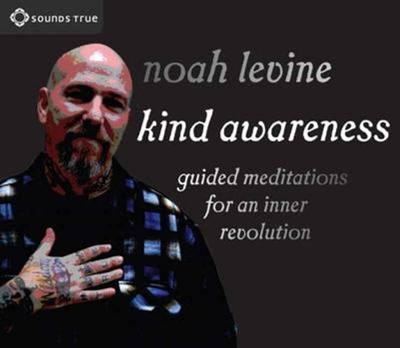 Kind Awareness: Guided Meditations for an Inner Revolution - Noah Levine