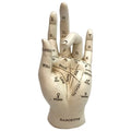 Palmistry Hand White 17.7cm