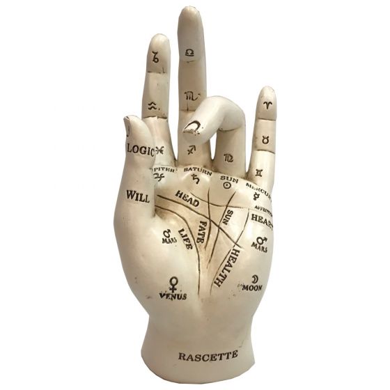 Palmistry Hand White 17.7cm